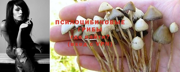 эйфоретик Алзамай