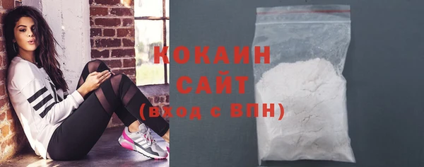 ешки Алексин
