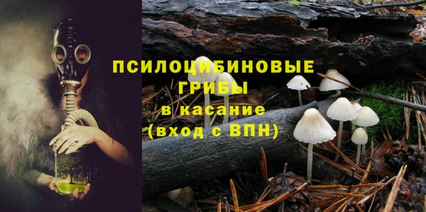 эйфоретик Алзамай