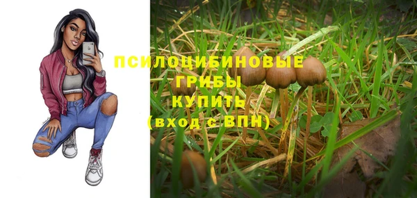 эйфоретик Алзамай