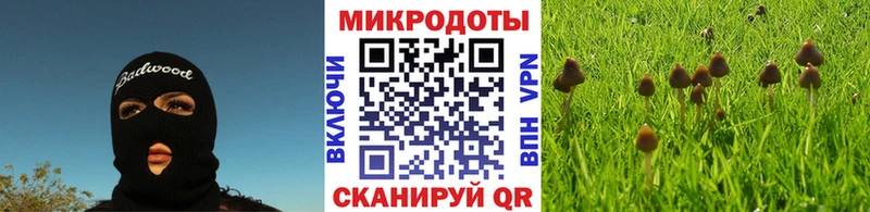 Псилоцибиновые грибы Cubensis Омск